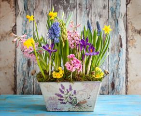 Spring flowers