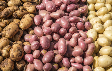 Potatoes in market