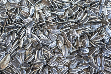 Sunflower seeds background