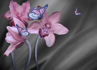 Obrazy na Szkle  Tle kwiatów storczyków, jasne kwiaty na szaro. Zastosowano filtr ze zbożem.