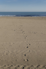 oliva coast