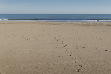 oliva coast