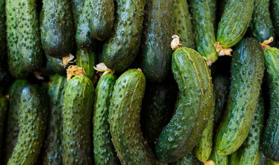 Background of cucumbers
