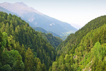a natural landscape, a photo taken from above on the mountains and the forest