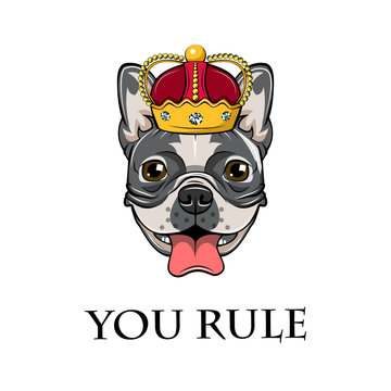  image of an dog bulldog in crown. You Rule.  illustration.