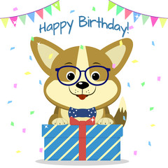 Puppy Corgi in glasses and a bow tie is sitting and holding a box with a gift on the background of confetti and flags. Happy Birthday.