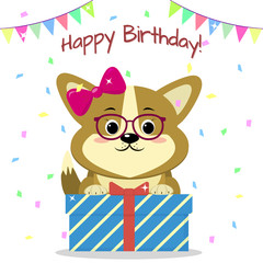 Puppy Corgi in a bow and glasses sits and holds a box with a gift on the background of confetti and flags. Happy Birthday.