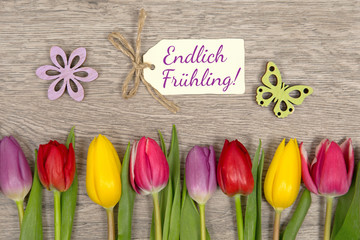 Tulpen und Karte: Endlich Frühling