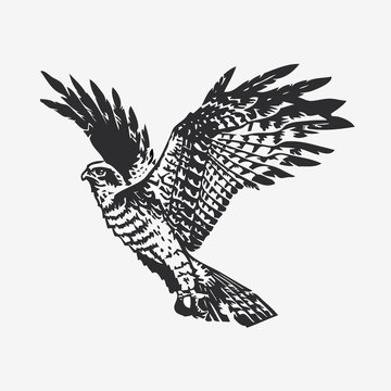 Eagle icon. Vector image for tattoos, webdesign or your ideas