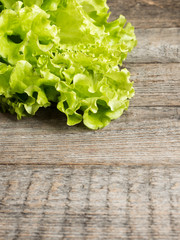 Green salad leaves on wooden rustic background. Copy space selective focus