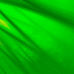 abstract green background texture