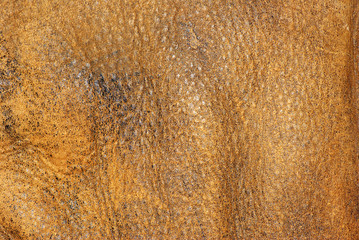 brown skin background