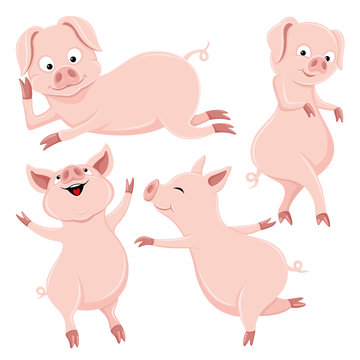 Set of cute pigs on white background.