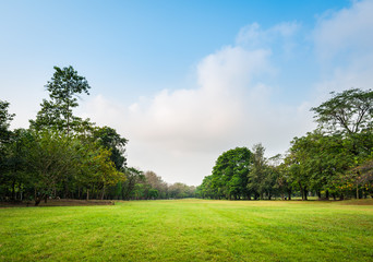 Green grass field with tree in Public Park