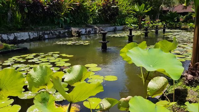 Tirta Gangga - the water palace in Bali.