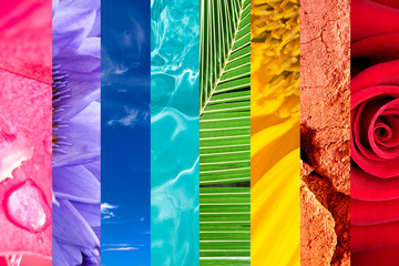 Rainbow of nature, colorful nature photo collage, vivid colors of nature