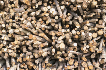 Old wooden log and timber textures for background