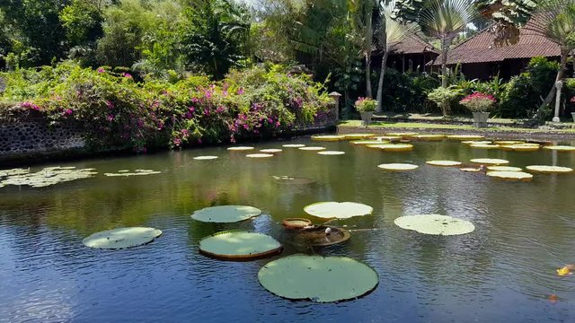 Tirta Gangga - the water palace in Bali.