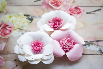 Fototapeta na wymiar Paper flowers are perfect for bringing spring inside any time of the year. They're fun to create, look beautiful once complete and, better still, they last longer than fresh flowers!