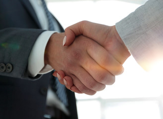 Excited smiling businessman handshaking partner at meeting,