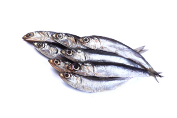 Little fish on a white background  (isolated). Close up