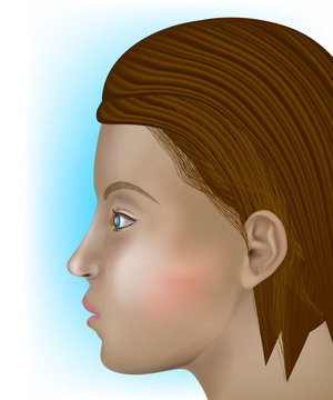 Realistic vector illustration -  Woman Profile. 3D Side view