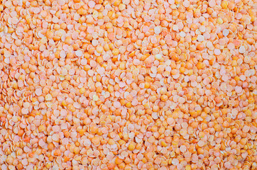 Red lentil. Background. Texture. Copy spaсe