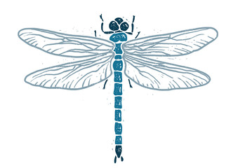 Dragonfly linocut linocut illustration, draw, ink, vector