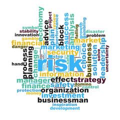 Risk word cloud