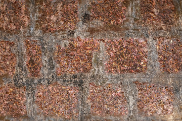 Vintage red brick wall with rough surface and dark stain taken from an old town in India Goa. The pattern and brickwork texture give it an industrial background look.