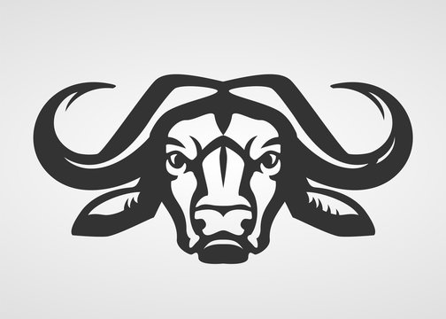 Buffalo head silhouette. Vector bull logo template