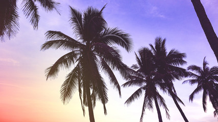 silhouette of coconut palms on the beach at sunset