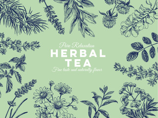 Beautiful vector hand drawn tea herbs Illustration.