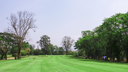 beautifull tropical golf course with blue sky.Healthy exercise golf game concept.