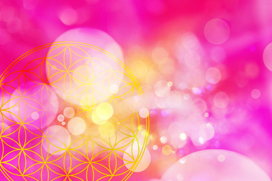 Lichtexplosion aus der Blume des Lebens in magentafarbenem Energiefeld