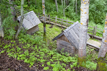 Farm buildings on a hillside. Museum of Wooden Architecture "Small Korely". Arhangelsk region