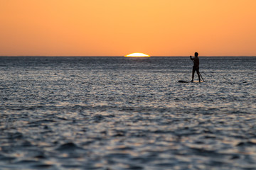 paddle barding in to the sun