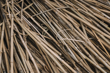 dry bamboo 