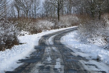 geräumte landstraße führt in einen wald