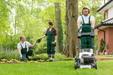 Turning the backyard into a well-kept garden