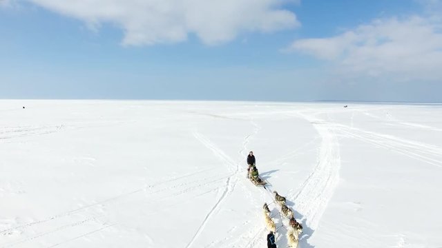 Aerial: Training sled dogs on a frozen bay in winter