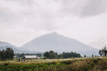Obraz premium Rwanda landscape