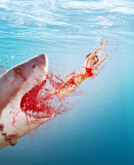 Obraz premium Brutalna scena kobiety atakującej gigantycznego rekina pod głębinami morskimi, krwawa scena, ilustracja 3d na okładkę książki lub ilustrację książki