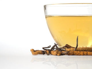 Select focus of mushroom cordyceps (CHONG CAO) this a herbs. With a glass of water, add water from the Ophiocordyceps sinensis extract. Medicinal properties in the treatment of diseases.