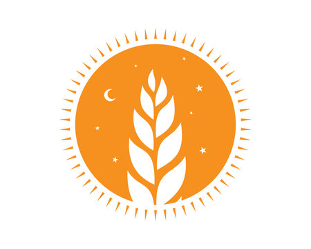 orange night circle paddy wheat barley plant harvest agriculture image vector