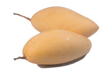 Yellow Fresh mango  isolate on white