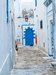 hammamet-tunisia-alleys of the old city streets white walls arabic doors