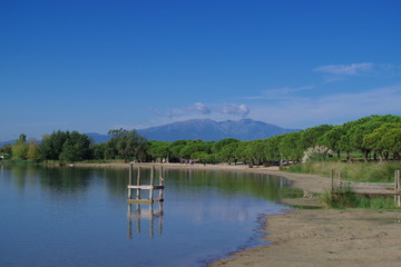 Fototapeta na wymiar Paysage avec des arbres le long d'un lac au printemps