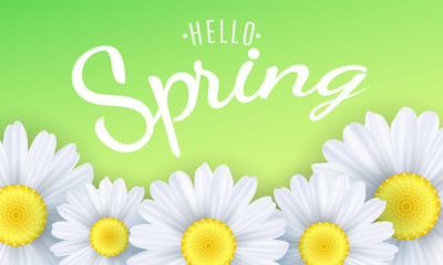 Hello spring phrase. Seasonal background. Camomiles flowers on a green background. Vector illustration