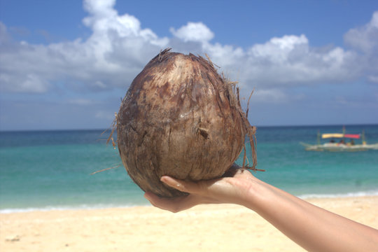 coconut, sea, island Borakay Filippiny